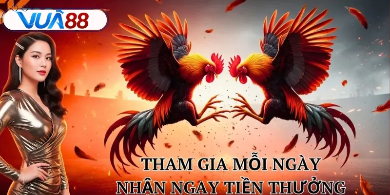 Các tiêu chí để đánh giá nhà cái đá gà uy tín hay không