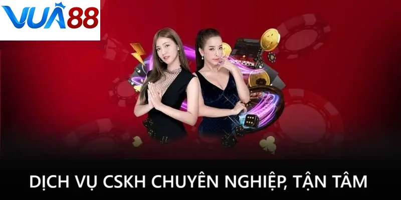 Dịch vụ chăm sóc khách hàng chuyên nghiệp