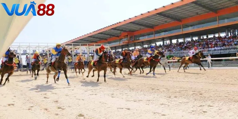 Nghiên cứu thật kỹ các cách cá cược trong đua ngựa để tìm ra sự lựa chọn chuẩn xác