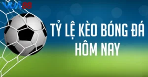 Tỷ lệ kèo bóng đá tại VUA88 có gì hấp dẫn? Cách xem hay