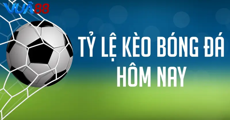 Tỷ lệ kèo bóng đá tại VUA88 có gì hấp dẫn? Cách xem hay